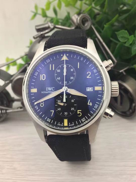IWC watch man-466